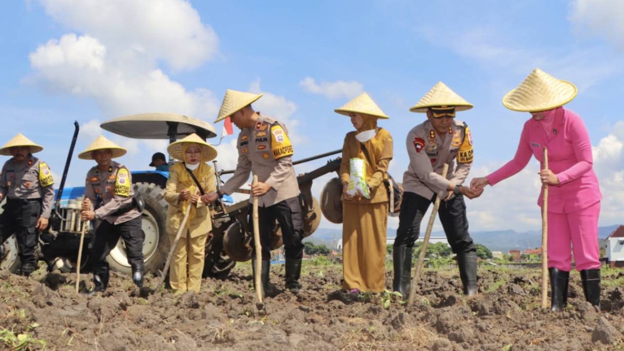 Polres Trenggalek Dukung Ketahanan Pangan, Tanam Jagung di Lahan Kosong Mapolres